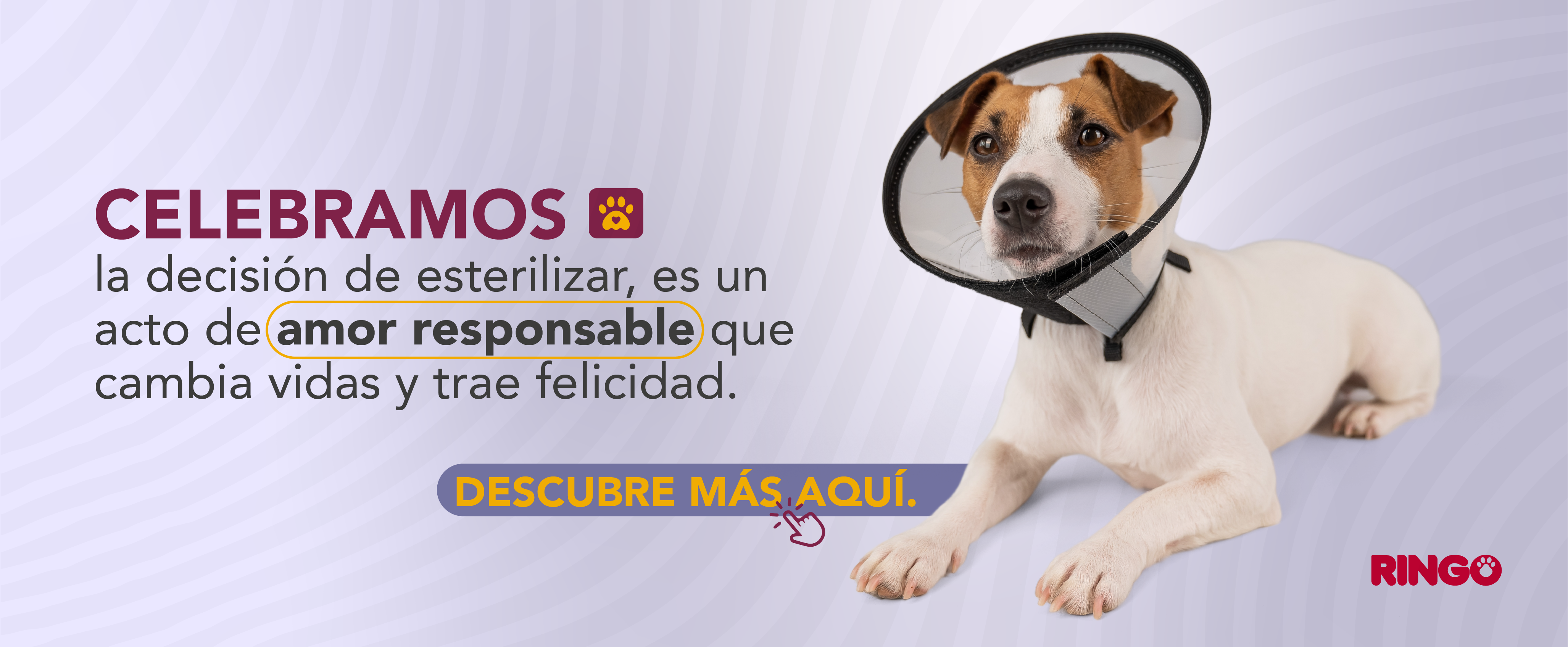 Banner esterilizacion colombia